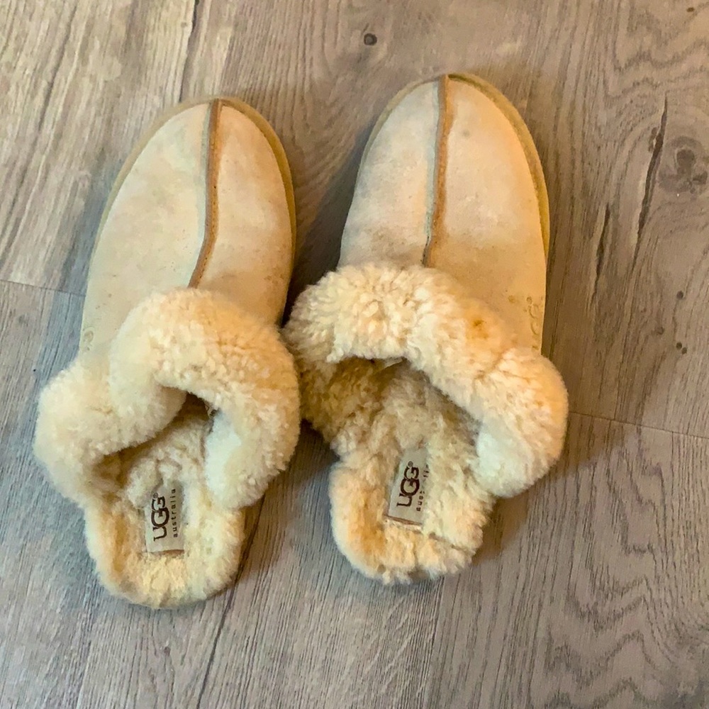 Ugg slippers (10)